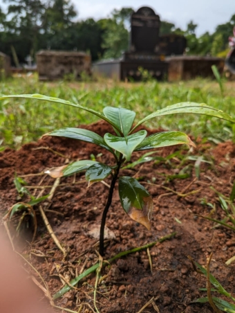 WhatsApp Image 2023-06-04 at 7.12.01 PM