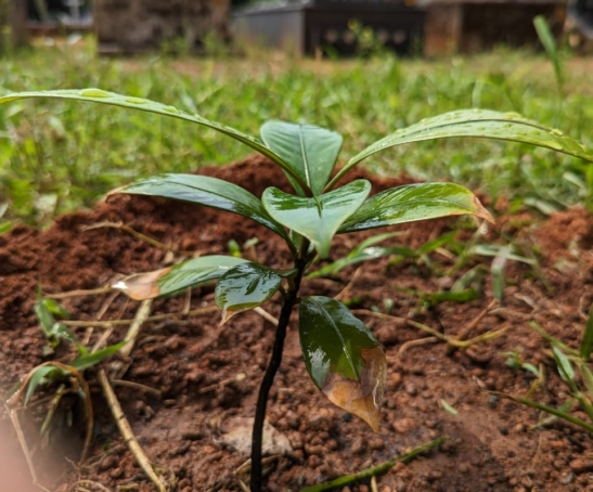 WhatsApp Image 2023-06-04 at 7.12.01 PM